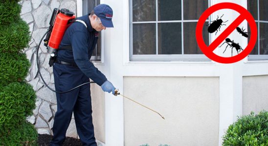Tepebaşı Böcek İlaçlama böcek ilaçlama ve haşere kontrolü — ilaclama-tr.com